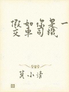 假如你是一个公交车司机