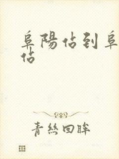 阜阳站到阜阳西站