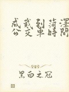 成武到菏泽城际公交车时间表