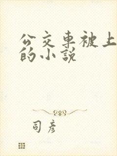 公交车被上高潮的小说