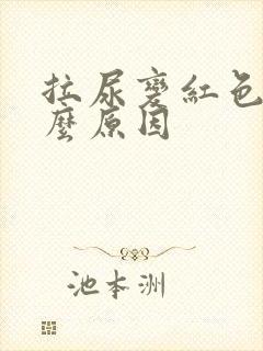 拉尿变红色是什么原因