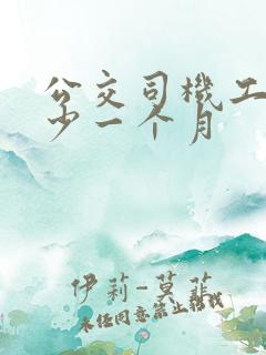 公交司机工资多少一个月 公交司机工资多少一个月