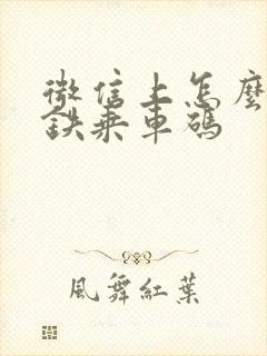 微信上怎么找地铁乘车码