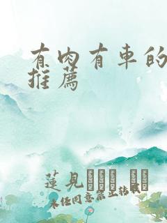 有肉有车的小说推荐