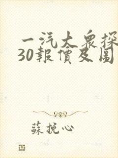 一汽大众探岳330报价及图片 一汽大众探岳330报价及图片