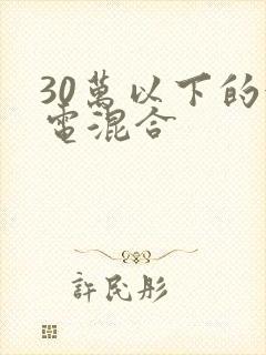30万以下的油电混合