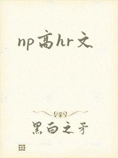np高hr文