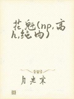 花魁(np,高h,纯肉)