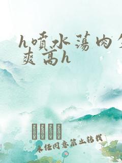 h喷水荡肉失禁爽高h