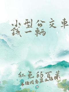 小型公交车多少钱一辆