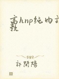 高hnp纯肉调教