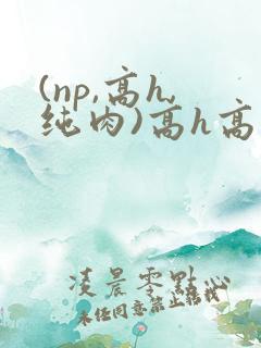 (np,高h,纯肉)高h高辣bl