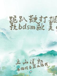 跪趴鞭打捆绑调教bdsm欧美gay