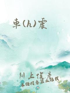 车(h)震
