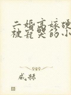 二婚高嫁硬汉后被宠哭的小说