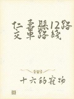 仁寿县12路公交车路线 仁寿县12路公交车路线