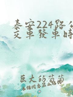 泰安224路公交车发车时间表