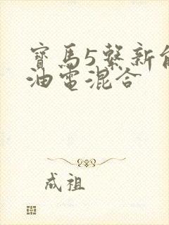 宝马5系新能源油电混合