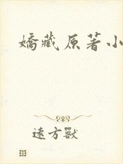 娇藏原著小说
