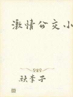 激情公交小说