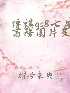传祺gs8七座商务图片及报价