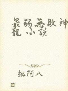 最弱无败神装机龙 小说