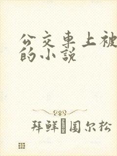 公交车上被玩弄的小说