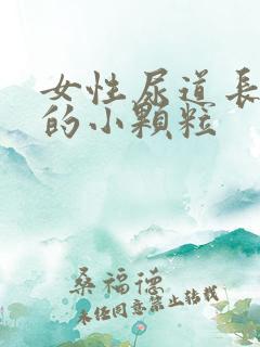 女性尿道长白色的小颗粒