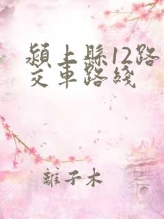 颍上县12路公交车路线