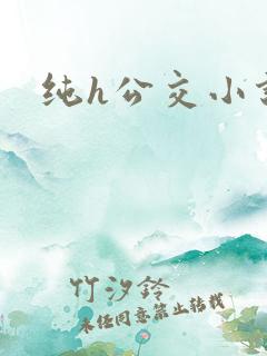 纯h公交小说