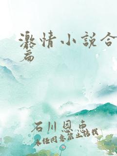 激情小说合集短篇