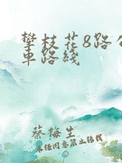 攀枝花8路公交车路线