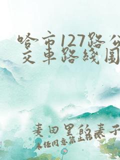 哈市127路公交车路线图