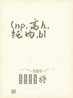 (np,高h,纯肉,bl
