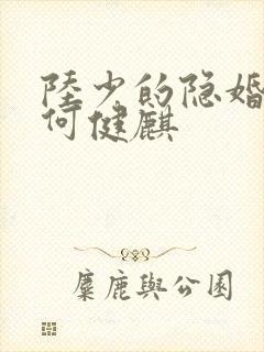 陆少的隐婚罪妻何健麒 陆少的隐婚罪妻何健麒