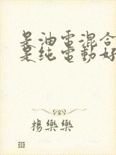 是油电混合好还是纯电动好