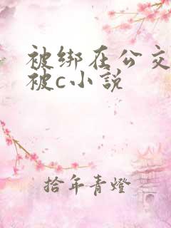 被绑在公交车里被c小说