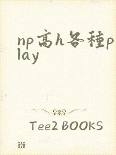np高h各种play