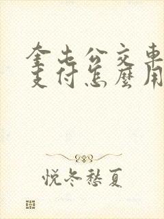 奎屯公交车扫码支付怎么用