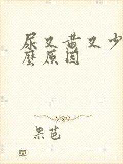 尿又黄又少是什么原因
