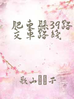 肥东县39路公交车路线