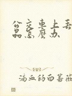 公交车上丢失物品怎么办