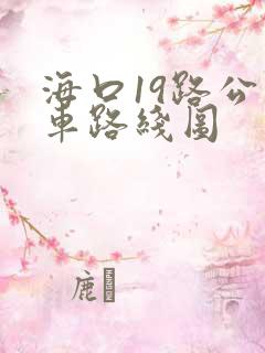 海口19路公交车路线图