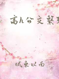高h公交系列