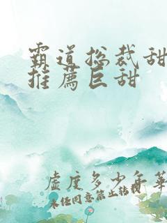 霸道总裁甜宠文推荐巨甜