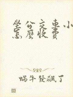坐公交车小孩子怎么收费