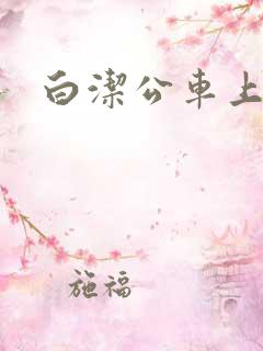 白洁公车上的