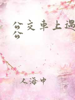 公交车上遇到公公