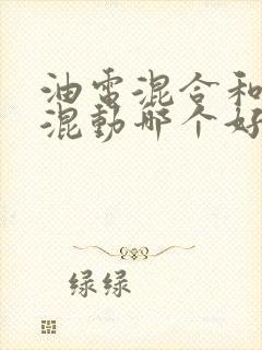 油电混合和插电混动哪个好