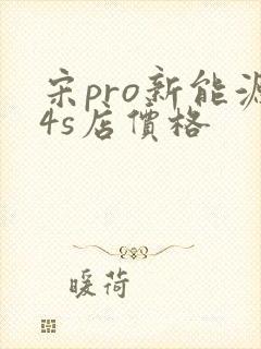 宋pro新能源4s店价格